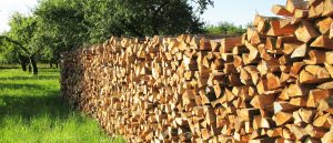 Firewood supplies